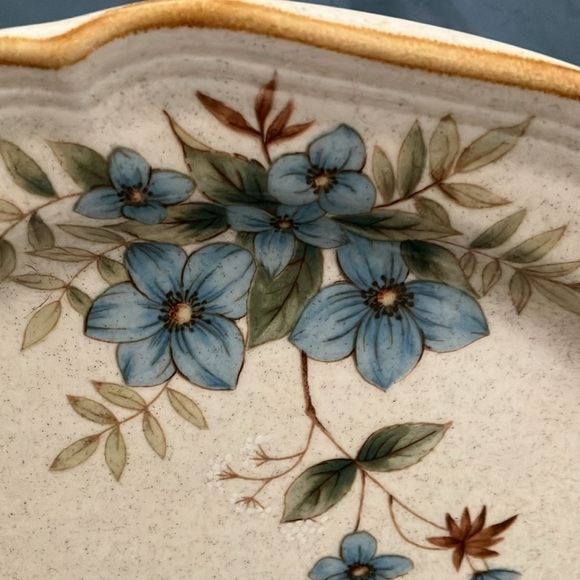 Mikasa: Garden Club DAY DREAMS (EC 461) Dinner Plates- lot of 2- 10 3/4" length - Picture 4 of 15